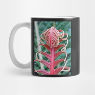 Brazilian Tree Fern Mug